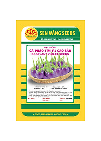 Hạt giống cà phao tím F1 cao sản năng suất cao VTS48
