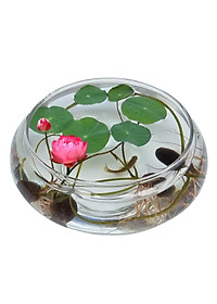 product-img-1