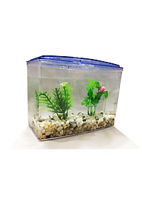 Bể Cá Beta Mini - Hồ Cá Mini Để Bàn Bằng Nhựa Cao Cấp 2 Ngăn 