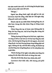 product-img-7