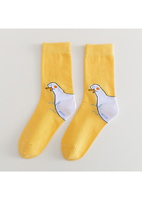 product-img-6