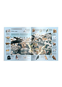 Sách Thử tài tìm kiếm – Động vật