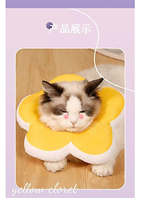 product-img-17