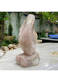 product-img-6