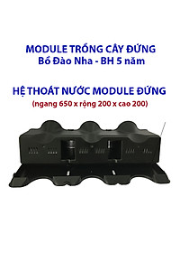 product-img-11