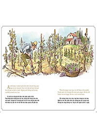 Sách Aesop Bất Hủ 2 - Song Ngữ Anh Việt