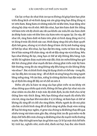 product-img-16
