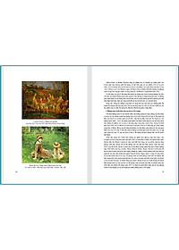 product-img-6