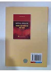 Đồng phạm trong luật hình sự Việt Nam