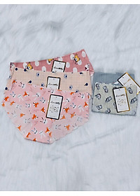 Combo 5 quần lót su hoa thông hơi- GAO 015 ( mẫu ngẩu nhiên)