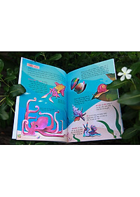 product-img-3