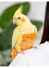 product-img-10