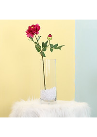 product-img-16