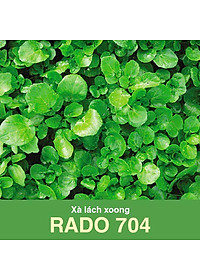 Hạt Giống Xà Lách Xoong Mỹ RADO 704 - 1gr - Dạng lá tròn, thân hơi tím, có rễ phụ, vị thơm, cây cao trung bình 28-35 cm