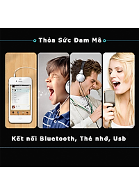 Micro Karaoke Bluetooth Kèm Loa cao cấp kết nối Bluetooth, thẻ nhớ, USB pin sạc - Hàng chính hãng