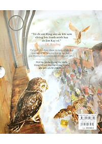 product-img-4
