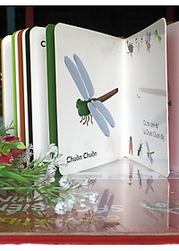product-img-7