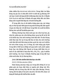 product-img-11