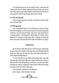product-img-9