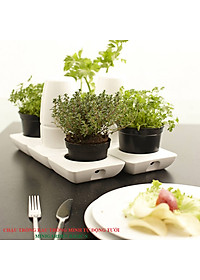 product-img-14