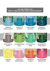 Nến ly 3 bấc Aromatherapy Goose Creek (411g) - Bergamot & Tea Leaves