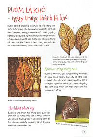 Thiên Nhiên- Những Bí Mật Còn Ẩn Giấu - Động Vật Quý Hiếm (Tái Bản 2019)- 2HBooks