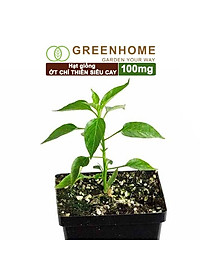 product-img-5