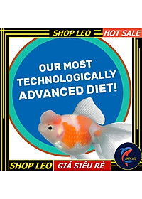 thức ăn cá vàng tăng màu và tăng trưởng Hikari-Nhật Bản- Ranchu - GOLDFISH - Hikari