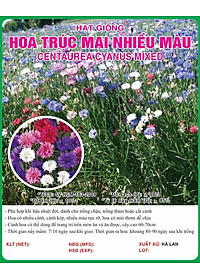 Hạt giống Hoa Trúc Mai nhiều màu VTS187