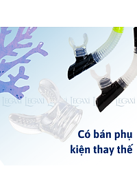 Ống Thở Bơi Lặn Biển Ngắm San Hô Đáy Biển Dã Ngoại Picnic