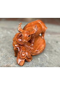 product-img-2