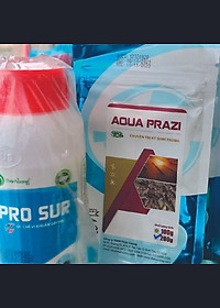 Kháng sinh chuyên trị ký sinh trùng cho tôm cá AQUA PRAZI (Dạng bột)