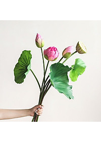 product-img-4