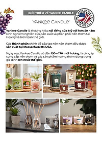 Nến ly mini Yankee Candle (37g) - Balsam & Cedar