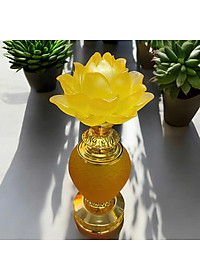 product-img-4