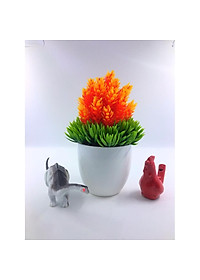 product-img-17