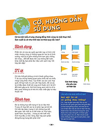 Sách Khám Phá Quốc Kỳ Trên Thế Giới