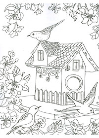 Countryside - Adults Colouring Book (Sách tô màu dành cho người lớn: Nông Thôn)