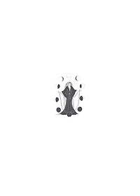 product-img-16