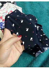 Combo 5 quần chip su hoa điều hòa, mịn mát (màu ngẫu nhiên)