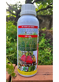 product-img-2