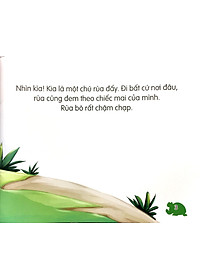 Sách Amazing Animals - Những Loài Vật Đáng Kinh Ngạc! - Rùa - Chậm Mà Chắc