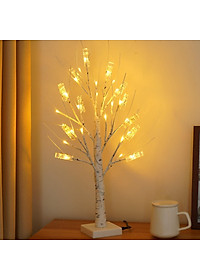 product-img-6