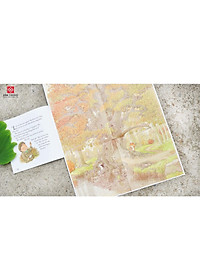 product-img-8
