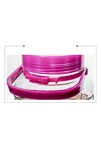 Bình ngâm rượu thủy tinh Nắp tím 8 Lít ngâm sâm, đinh lăng, táo mèo, nấm linh chi, hoa quả