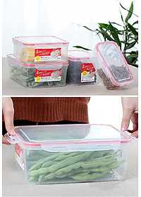 Combo 03 hộp thực phẩm chữ nhật inomata hàng nội địa Nhật Bản