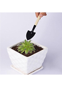 product-img-10