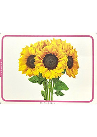 product-img-5