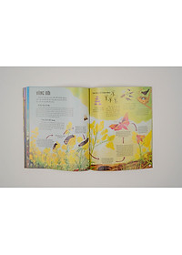 product-img-4