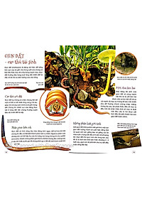 Sách Động Vật Kỳ Quặc